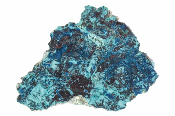 Vibrant Chrysocolla and Shattuckite Section - Mexico #383737